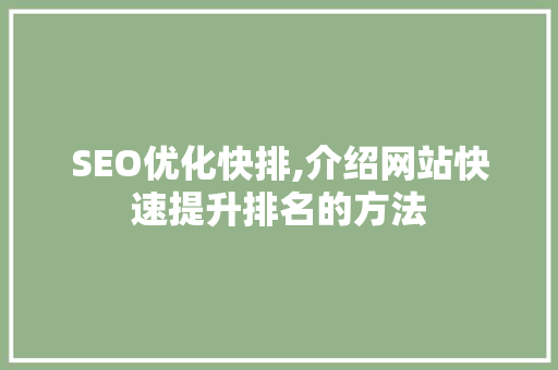 SEO优化快排,介绍网站快速提升排名的方法
