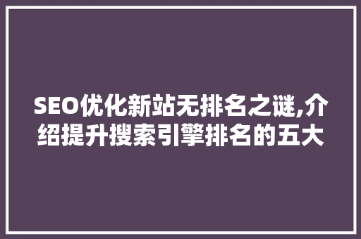 SEO优化新站无排名之谜,介绍提升搜索引擎排名的五大步骤