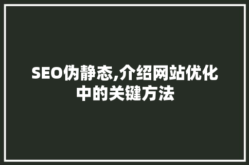 SEO伪静态,介绍网站优化中的关键方法