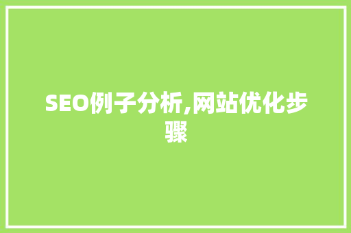 SEO例子分析,网站优化步骤