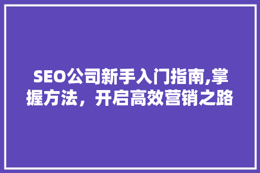 SEO公司新手入门指南,掌握方法，开启高效营销之路