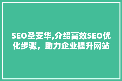 SEO圣安华,介绍高效SEO优化步骤，助力企业提升网站排名