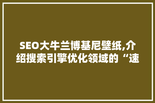 SEO大牛兰博基尼壁纸,介绍搜索引擎优化领域的“速度与激情” SEO大牛兰博基尼壁纸,介绍搜索引擎优化领域的“速度与激情”