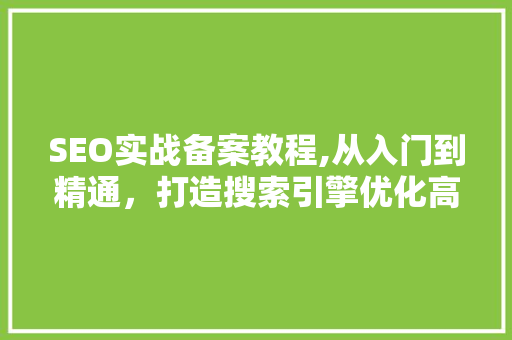 SEO实战备案教程,从入门到精通，打造搜索引擎优化高手的必备指南