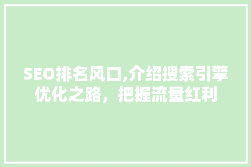 SEO排名风口,介绍搜索引擎优化之路，把握流量红利