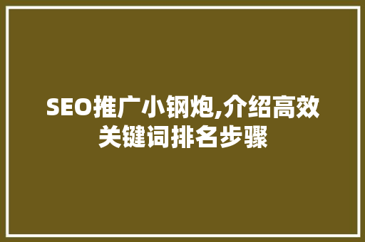 SEO推广小钢炮,介绍高效关键词排名步骤 网络技术