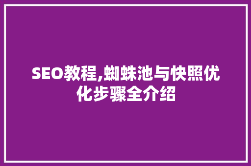 SEO教程,蜘蛛池与快照优化步骤全介绍
