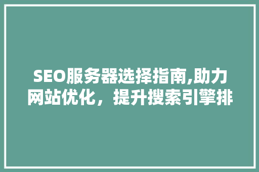 SEO服务器选择指南,助力网站优化，提升搜索引擎排名