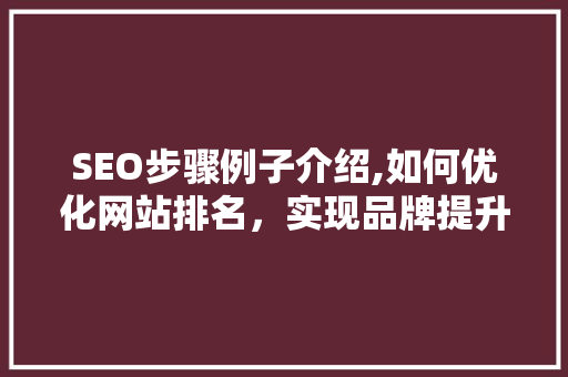 SEO步骤例子介绍,如何优化网站排名，实现品牌提升