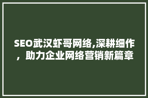 SEO武汉虾哥网络,深耕细作，助力企业网络营销新篇章