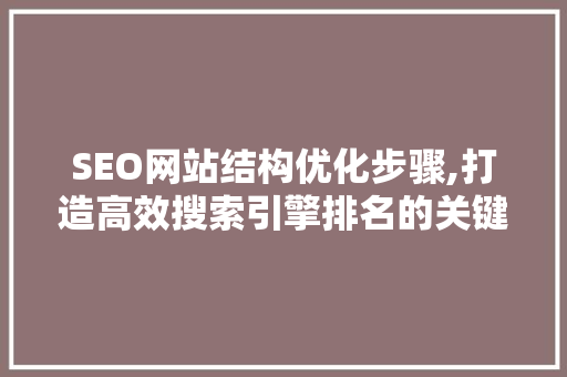 SEO网站结构优化步骤,打造高效搜索引擎排名的关键