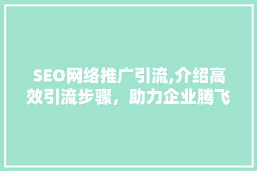 SEO网络推广引流,介绍高效引流步骤，助力企业腾飞