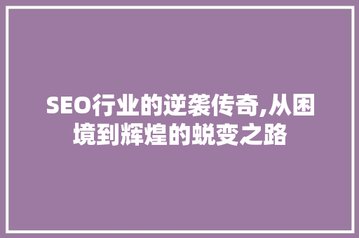 SEO行业的逆袭传奇,从困境到辉煌的蜕变之路 SEO行业的逆袭传奇,从困境到辉煌的蜕变之路
