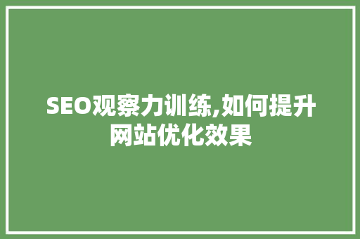 SEO观察力训练,如何提升网站优化效果