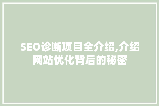 SEO诊断项目全介绍,介绍网站优化背后的秘密