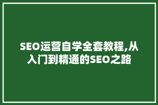 SEO运营自学全套教程,从入门到精通的SEO之路
