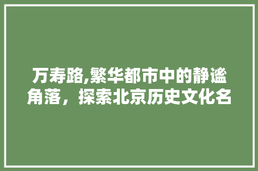 万寿路,繁华都市中的静谧角落，探索北京历史文化名街的魅力