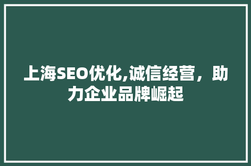 上海SEO优化,诚信经营，助力企业品牌崛起