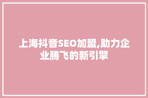 上海抖音SEO加盟,助力企业腾飞的新引擎