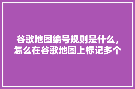 谷歌地图编号规则是什么，怎么在谷歌地图上标记多个地点