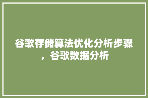 谷歌存储算法优化分析步骤，谷歌数据分析