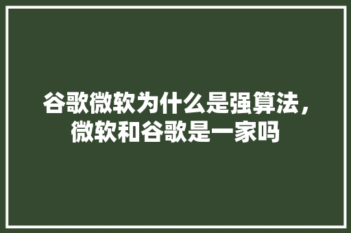 谷歌微软为什么是强算法，微软和谷歌是一家吗