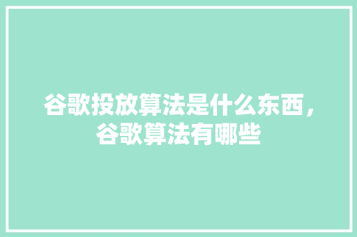 谷歌投放算法是什么东西，谷歌算法有哪些