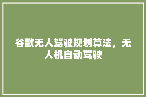 谷歌无人驾驶规划算法,无人机自动驾驶 谷歌无人驾驶规划算法,无人机自动驾驶