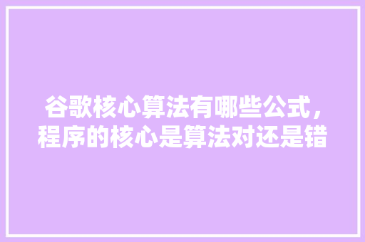 谷歌核心算法有哪些公式，程序的核心是算法对还是错