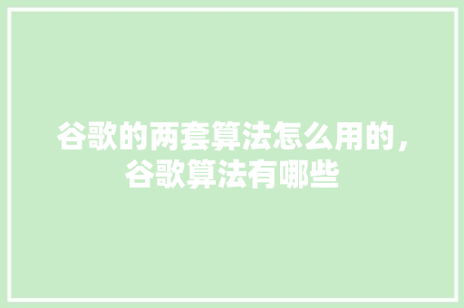 谷歌的两套算法怎么用的，谷歌算法有哪些