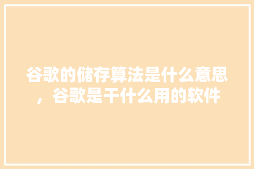谷歌的储存算法是什么意思，谷歌是干什么用的软件