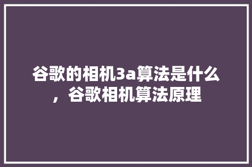 谷歌的相机3a算法是什么，谷歌相机算法原理 电脑基础