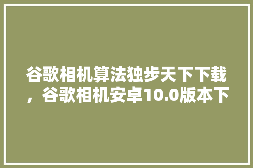 谷歌相机算法独步天下下载，谷歌相机安卓10.0版本下载