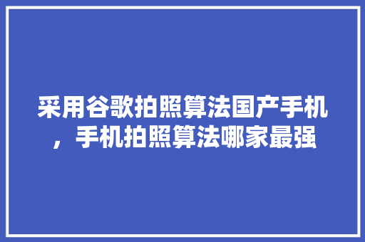 采用谷歌拍照算法国产手机，手机拍照算法哪家最强
