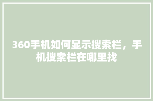 360手机如何显示搜索栏，手机搜索栏在哪里找