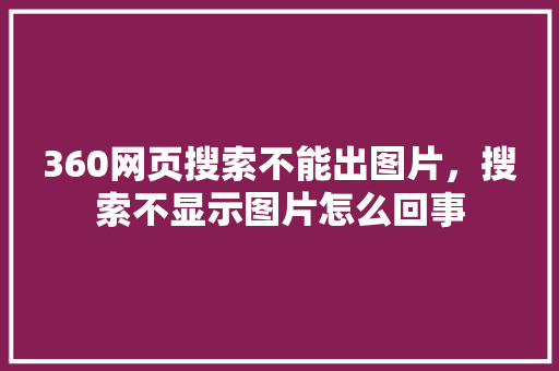 360网页搜索不能出图片，搜索不显示图片怎么回事