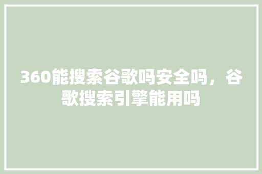 360能搜索谷歌吗安全吗，谷歌搜索引擎能用吗