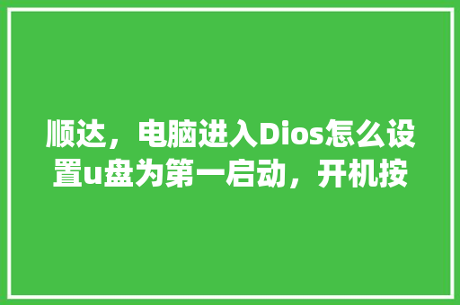 顺达，电脑进入Dios怎么设置u盘为第一启动，开机按哪个键进入u盘_顺达电脑基础知识讲解
