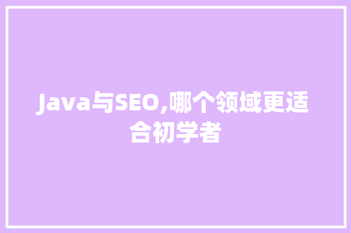 Java与SEO,哪个领域更适合初学者