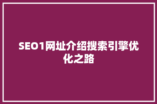 SEO1网址介绍搜索引擎优化之路