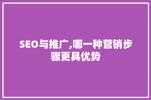 SEO与推广,哪一种营销步骤更具优势