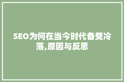 SEO为何在当今时代备受冷落,原因与反思