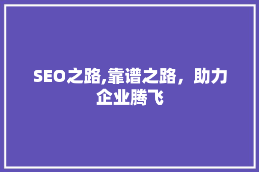 SEO之路,靠谱之路，助力企业腾飞