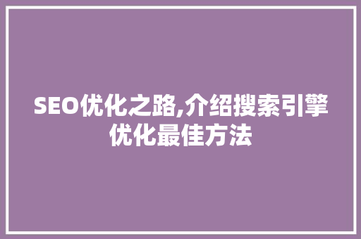 SEO优化之路,介绍搜索引擎优化最佳方法