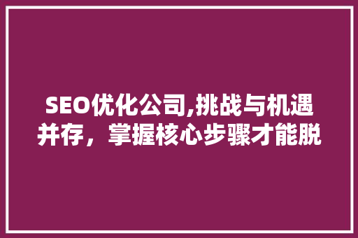 SEO优化公司,挑战与机遇并存，掌握核心步骤才能脱颖而出