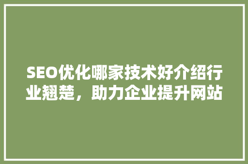 SEO优化哪家技术好介绍行业翘楚，助力企业提升网站排名