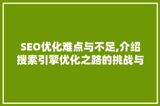 SEO优化难点与不足,介绍搜索引擎优化之路的挑战与对策