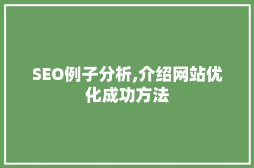 SEO例子分析,介绍网站优化成功方法