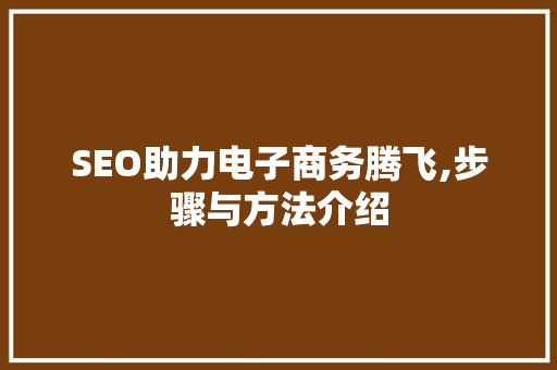 SEO助力电子商务腾飞,步骤与方法介绍
