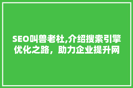SEO叫兽老杜,介绍搜索引擎优化之路，助力企业提升网络竞争力